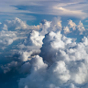 Meet your Posher, Mia